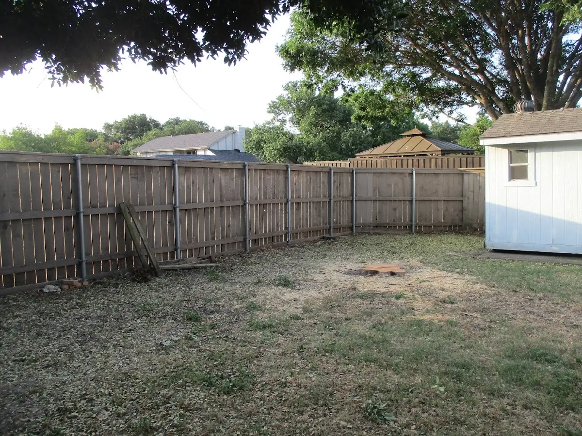 Cleared yard after professional tree removal in Ceredo