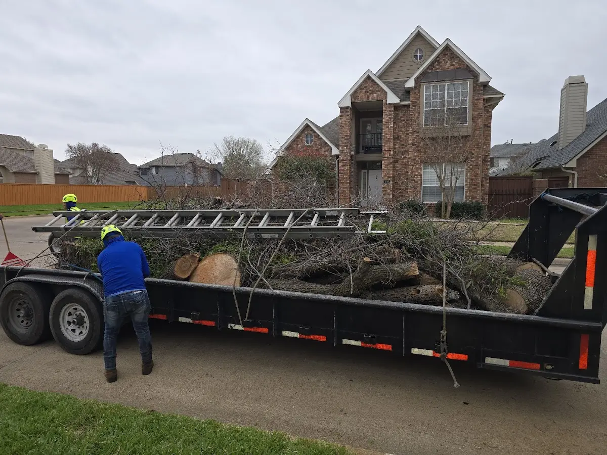 Expert Tree Fertilization with proper safety equipment in Ceredo